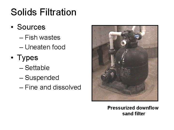 Solids Filtration • Sources – Fish wastes – Uneaten food • Types – Settable