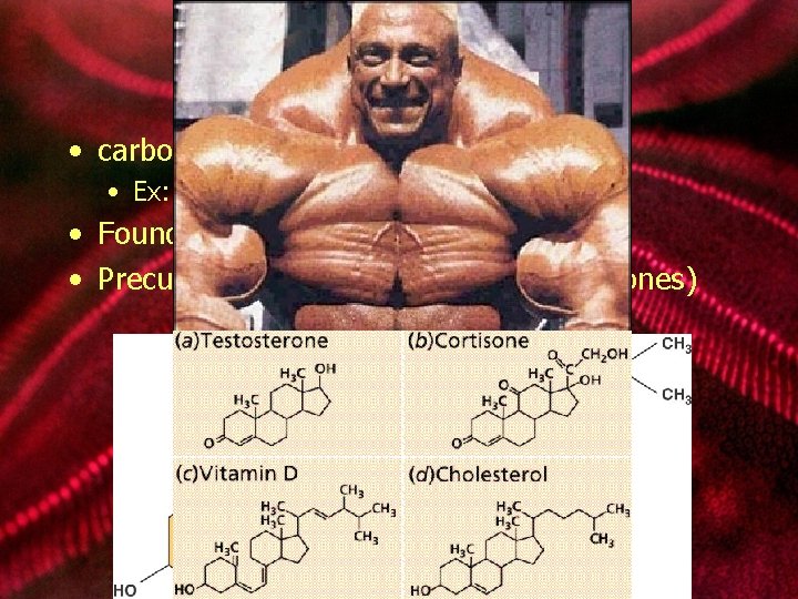 lipids: steroids • carbon skeleton consists of 4 rings • Ex: cholesterol • Found