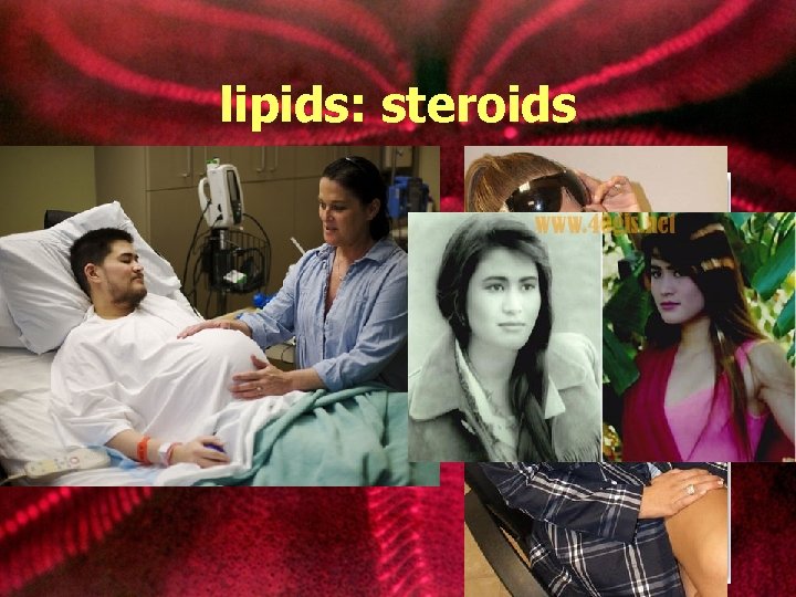lipids: steroids Examples: • corticosteroids • sex steroids • anabolic steroids 