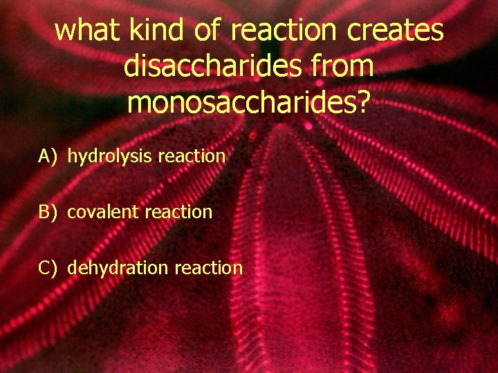 what kind of reaction creates disaccharides from monosaccharides? A) hydrolysis reaction B) covalent reaction