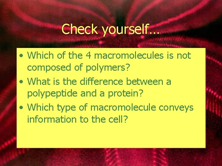 Check yourself… • Which of the 4 macromolecules is not composed of polymers? •