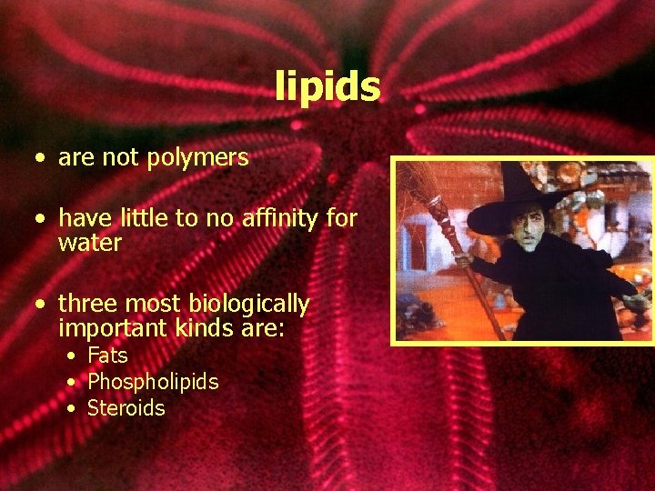 lipids • are not polymers • have little to no affinity for water •