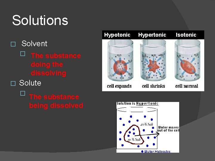 Solutions Hypotonic � Solvent � The substance doing the dissolving � Solute � The