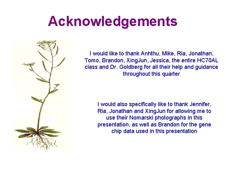 Acknowledgements I would like to thank Anhthu, Mike, Ria, Jonathan, Tomo, Brandon, Xing. Jun,
