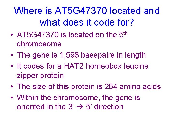 Where is AT 5 G 47370 located and what does it code for? •