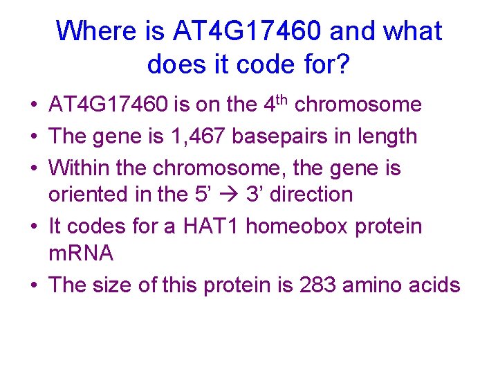 Where is AT 4 G 17460 and what does it code for? • AT