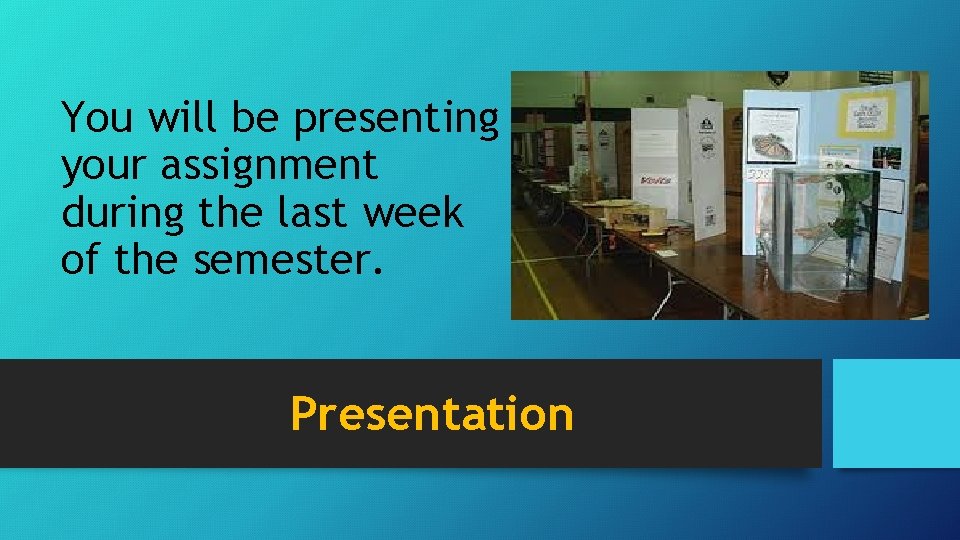 You will be presenting your assignment during the last week of the semester. Presentation