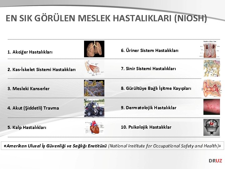 EN SIK GÖRÜLEN MESLEK HASTALIKLARI (NIOSH) 1. Akciğer Hastalıkları 6. Üriner Sistem Hastalıkları 2.