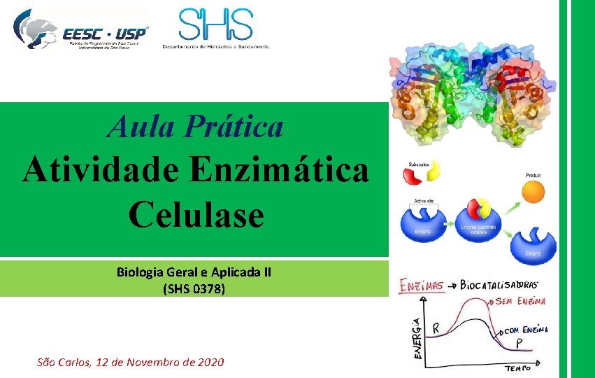 Aula Prática Atividade Enzimática Celulase Biologia Geral e Aplicada II (SHS 0378) São Carlos,