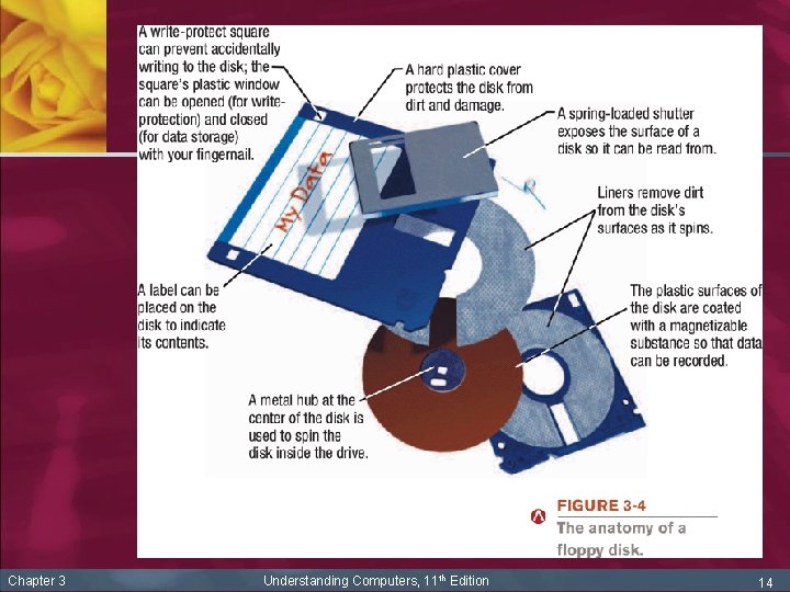Chapter 3 Understanding Computers, 11 th Edition 14 
