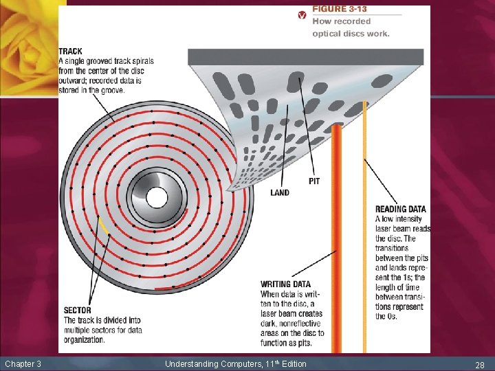 Chapter 3 Understanding Computers, 11 th Edition 28 