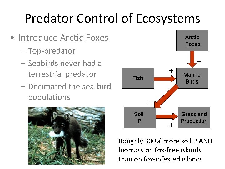 Predator Control Definition Thinking Systems Class 10 Matt Cohen Ph D