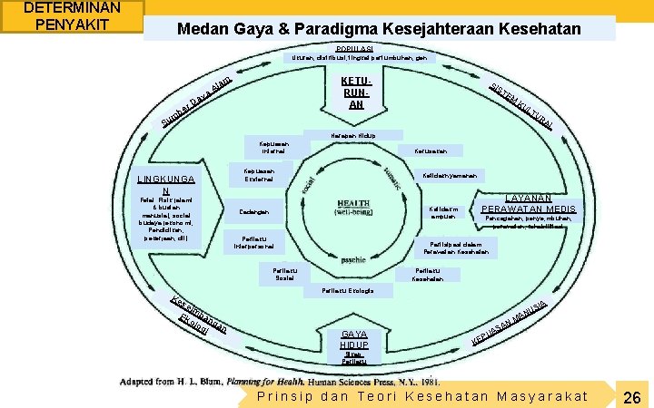 DETERMINAN PENYAKIT Medan Gaya & Paradigma Kesejahteraan Kesehatan POPULASI Ukuran, distribusi, tingkat pertumbuhan, gen