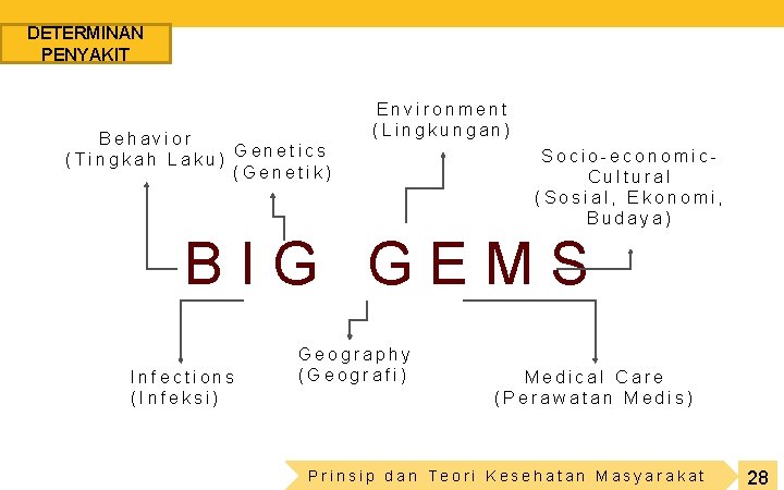 DETERMINAN PENYAKIT Behavior (Tingkah Laku) Genetics (Genetik) Environment (Lingkungan) Socio-economic. Cultural (Sosial, Ekonomi, Budaya)