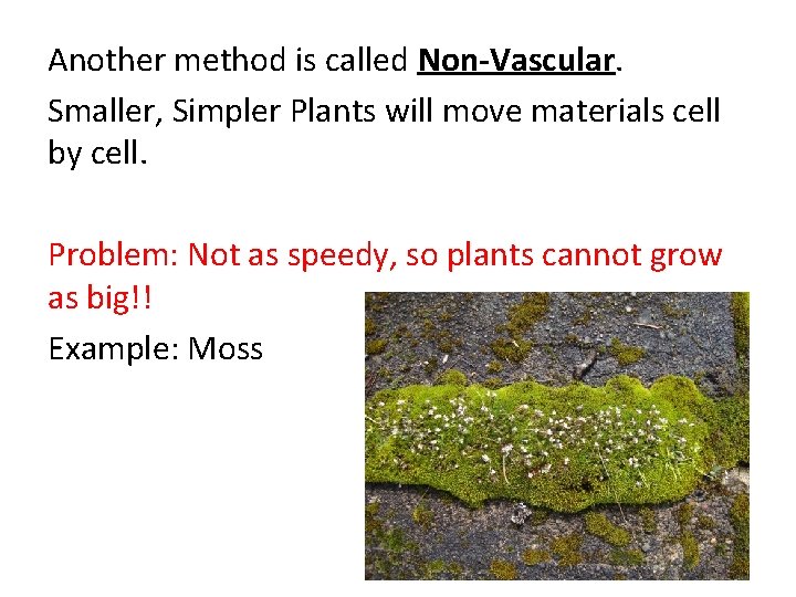 Another method is called Non-Vascular. Smaller, Simpler Plants will move materials cell by cell.