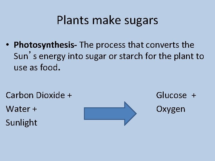 Plants make sugars • Photosynthesis- The process that converts the Sun’s energy into sugar
