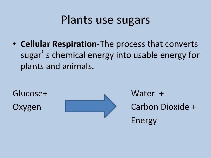 Plants use sugars • Cellular Respiration-The process that converts sugar’s chemical energy into usable