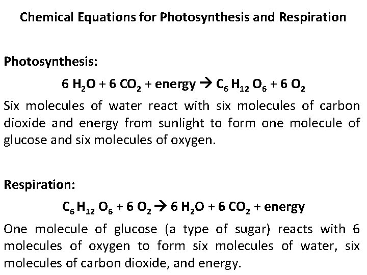 Chemical Equations for Photosynthesis and Respiration Photosynthesis: 6 H 2 O + 6 CO