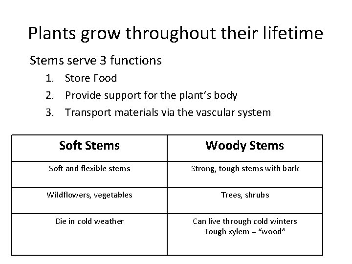 Plants grow throughout their lifetime Stems serve 3 functions 1. Store Food 2. Provide