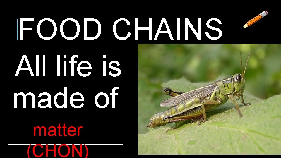 FOOD CHAINS All life is made of matter _______ (CHON) FOOD CHAINS All life is made of matter _______ (CHON)