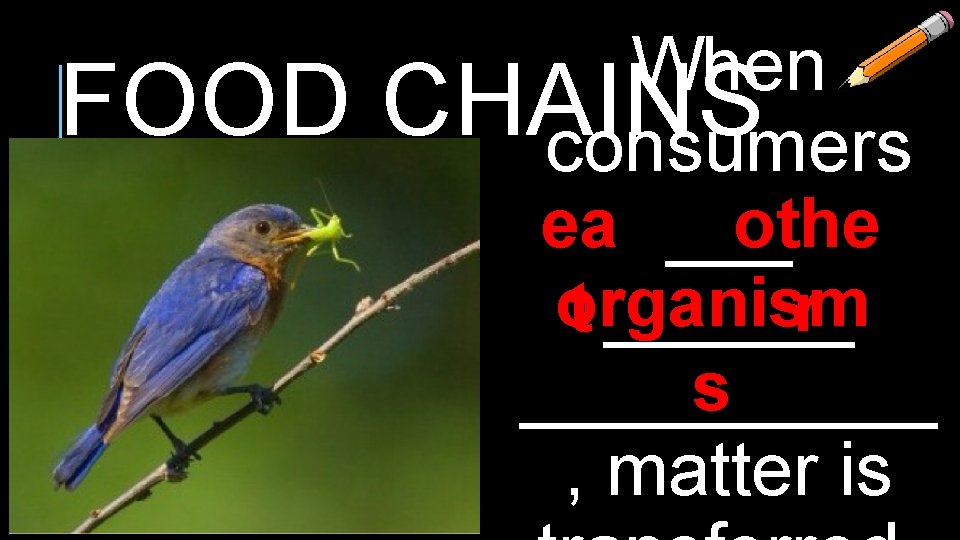 FOOD When CHAINS consumers othe ea ___ organism r t ______ s _____ , FOOD When CHAINS consumers othe ea ___ organism r t ______ s _____ ,
