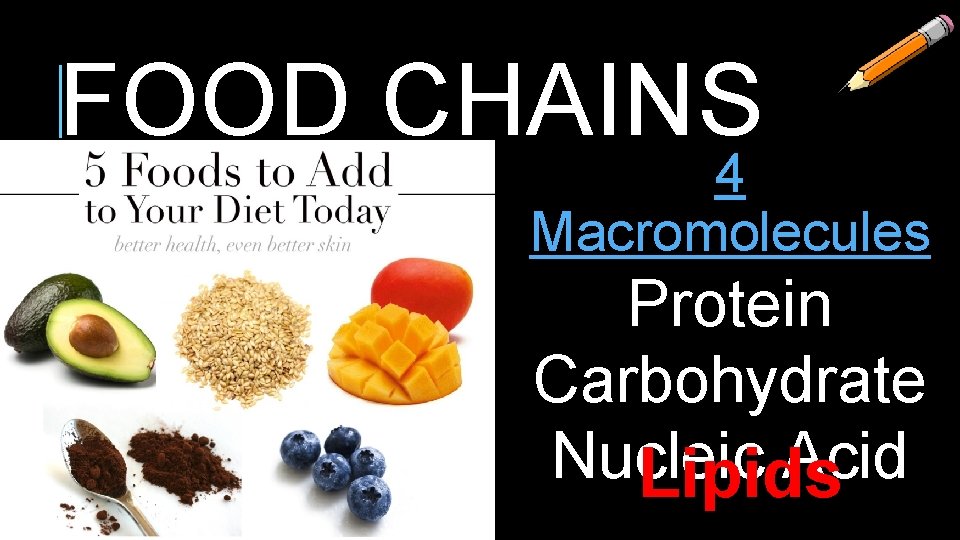 FOOD CHAINS 4 Macromolecules Protein Carbohydrate Nucleic Acid Lipids FOOD CHAINS 4 Macromolecules Protein Carbohydrate Nucleic Acid Lipids