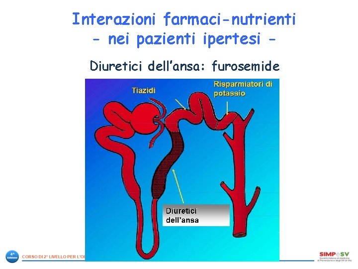 Interazioni farmaci-nutrienti - nei pazienti ipertesi Diuretici dell’ansa: furosemide 