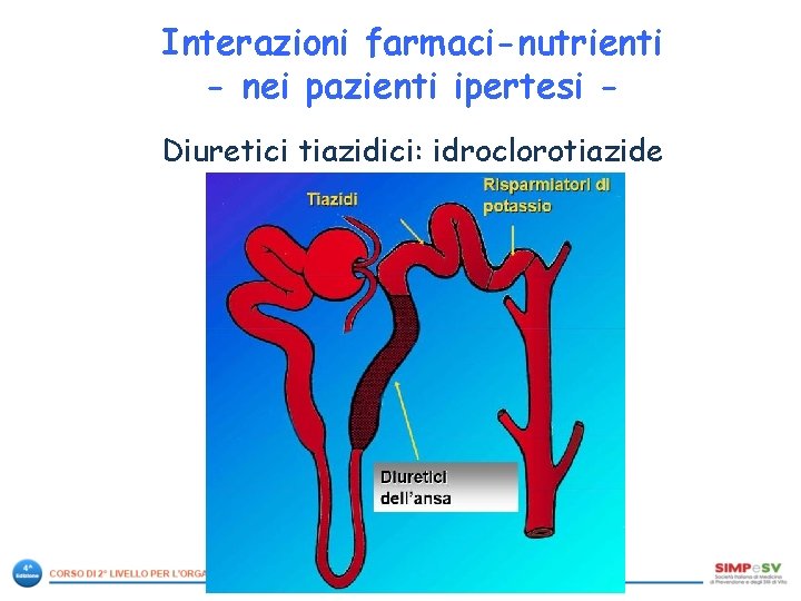 Interazioni farmaci-nutrienti - nei pazienti ipertesi Diuretici tiazidici: idroclorotiazide 