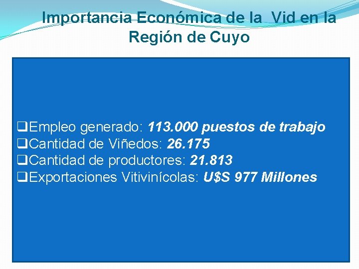 Importancia Económica de la Vid en la Región de Cuyo q. Empleo generado: 113.