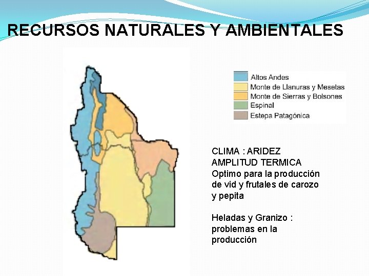 RECURSOS NATURALES Y AMBIENTALES CLIMA : ARIDEZ AMPLITUD TERMICA Optimo para la producción de