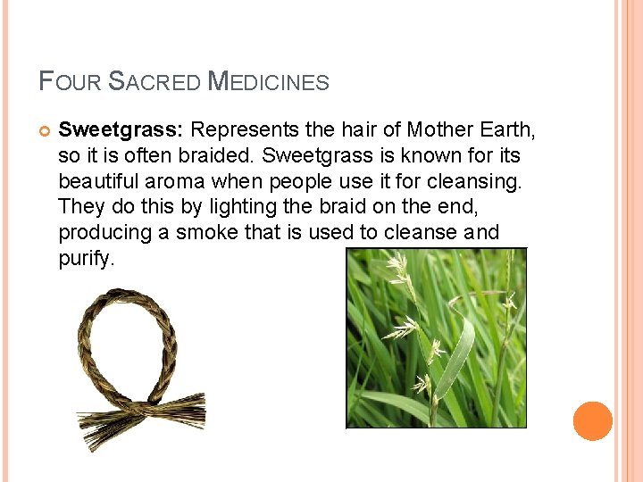 FOUR SACRED MEDICINES Sweetgrass: Represents the hair of Mother Earth, so it is often