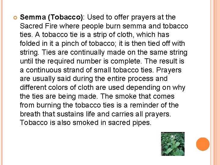  Semma (Tobacco): Used to offer prayers at the Sacred Fire where people burn