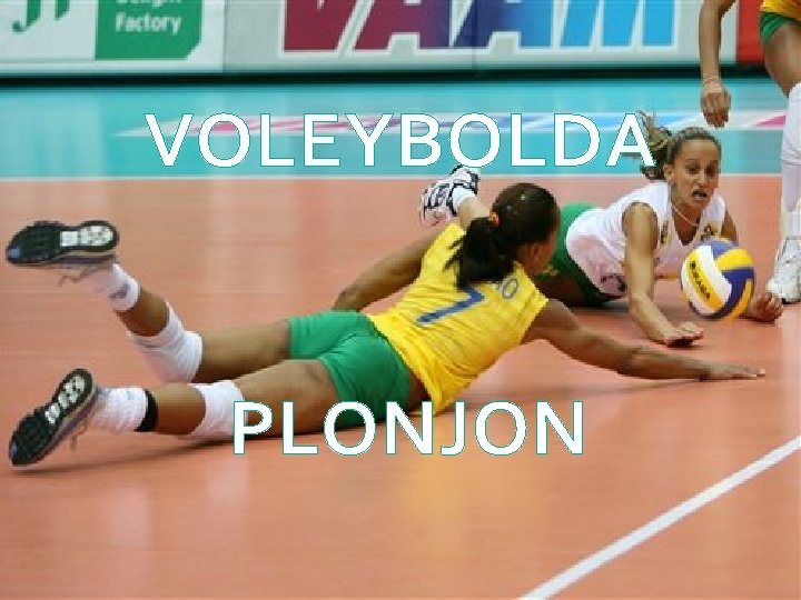 VOLEYBOLDA PLONJON 