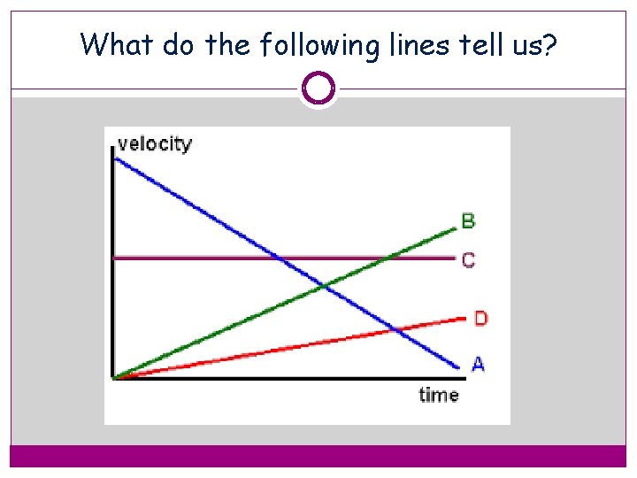What do the following lines tell us? 