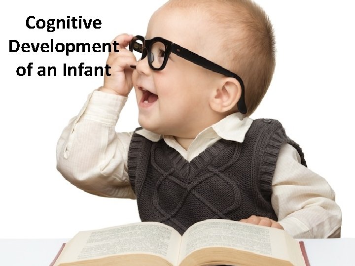 Cognitive Development of an Infant 