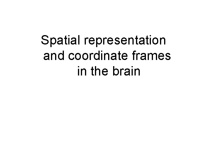 Spatial representation and coordinate frames in the brain 