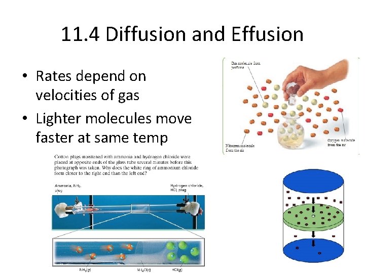11. 4 Diffusion and Effusion • Rates depend on velocities of gas • Lighter