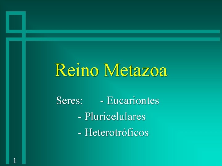 Reino Metazoa Seres: - Eucariontes - Pluricelulares - Heterotróficos 1 