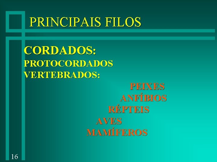 PRINCIPAIS FILOS CORDADOS: PROTOCORDADOS VERTEBRADOS: PEIXES ANFÍBIOS RÉPTEIS AVES MAMÍFEROS 16 