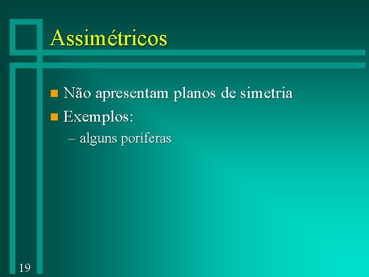 Assimétricos Não apresentam planos de simetria n Exemplos: n – alguns poríferas 19 