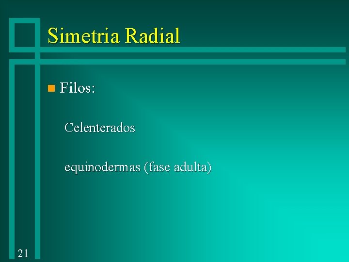 Simetria Radial n Filos: Celenterados equinodermas (fase adulta) 21 