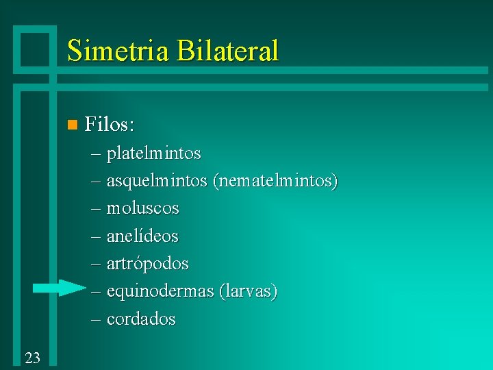 Simetria Bilateral n Filos: – platelmintos – asquelmintos (nematelmintos) – moluscos – anelídeos –