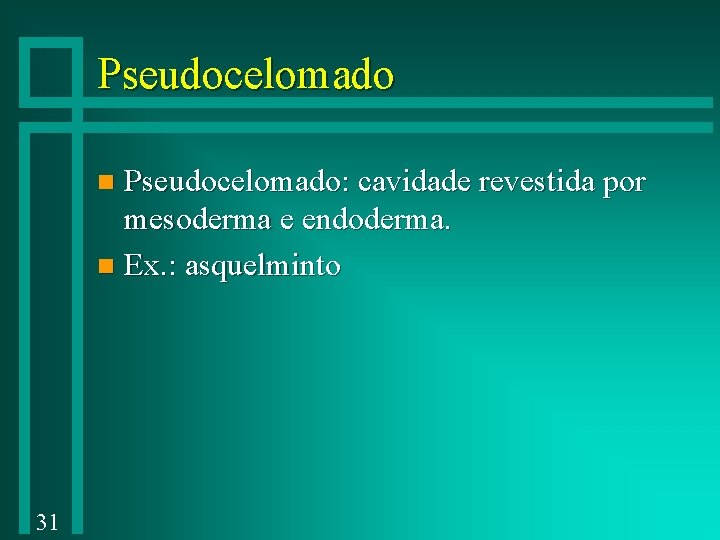 Pseudocelomado: cavidade revestida por mesoderma e endoderma. n Ex. : asquelminto n 31 