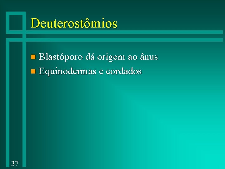 Deuterostômios Blastóporo dá origem ao ânus n Equinodermas e cordados n 37 