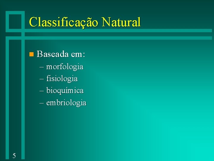 Classificação Natural n Baseada em: – morfologia – fisiologia – bioquímica – embriologia 5