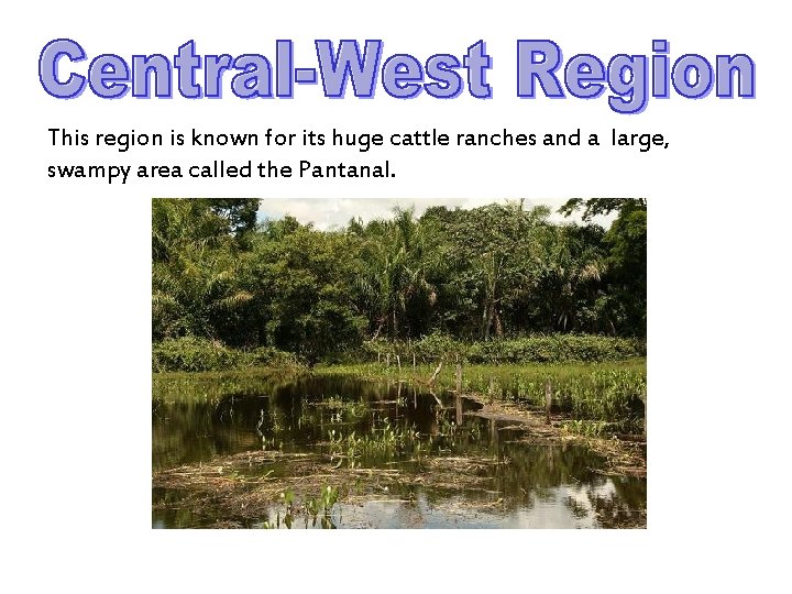 This region is known for its huge cattle ranches and a large, swampy area