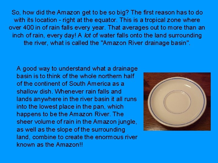 So, how did the Amazon get to be so big? The first reason has