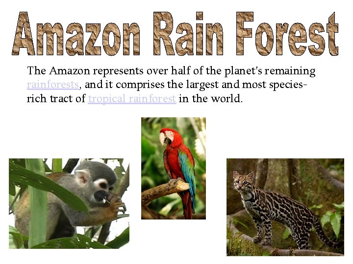 The Amazon represents over half of the planet's remaining rainforests, and it comprises the