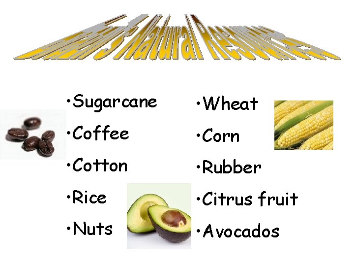 • Sugarcane • Wheat • Coffee • Corn • Cotton • Rubber •