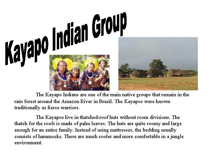 The Kayapo Indians are one of the main native groups that remain in the